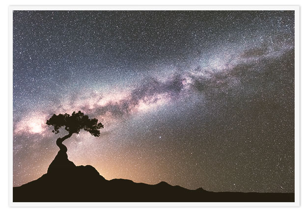 The Dreaming